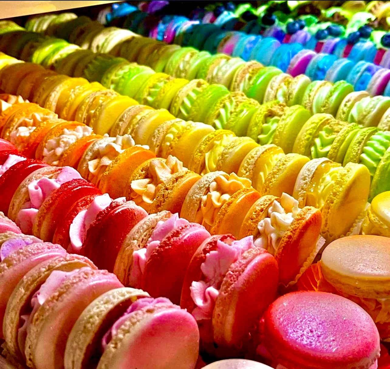 Assorted Macarons